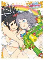 キャラクタースリーブ 閃乱カグラ PEACH BEACH SPLASH (A)(EN-542) パック
