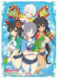 キャラクタースリーブ 閃乱カグラ PEACH BEACH SPLASH (B)(EN-543) パック