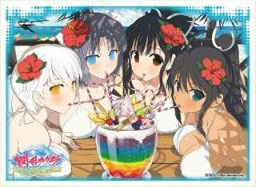 キャラクタースリーブ 閃乱カグラ PEACH BEACH SPLASH (C)(EN-544) パック