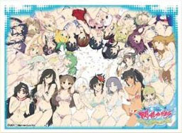 キャラクタースリーブ 閃乱カグラ PEACH BEACH SPLASH (D)(EN-545) パック