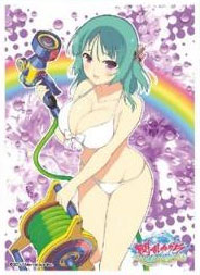 キャラクタースリーブ 閃乱カグラ PEACH BEACH SPLASH 芭蕉(EN-565) パック
