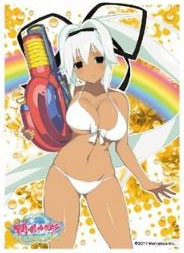 キャラクタースリーブ 閃乱カグラ PEACH BEACH SPLASH 夕焼(EN-566) パック