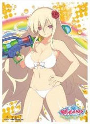 キャラクタースリーブ 閃乱カグラ PEACH BEACH SPLASH 麗王(EN-567) パック