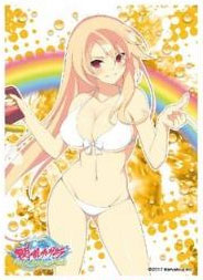 キャラクタースリーブ 閃乱カグラ PEACH BEACH SPLASH 総司(EN-568) パック