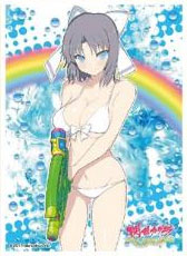 キャラクタースリーブ 閃乱カグラ PEACH BEACH SPLASH 雪泉B(EN-599) パック