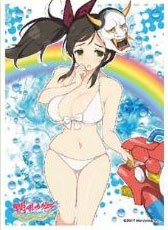 キャラクタースリーブ 閃乱カグラ PEACH BEACH SPLASH 叢B(EN-600) パック