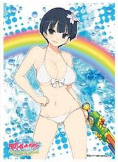 キャラクタースリーブ 閃乱カグラ PEACH BEACH SPLASH 夜桜B(EN-601) パック