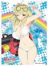 キャラクタースリーブ 閃乱カグラ PEACH BEACH SPLASH 四季B(EN-602) パック
