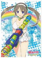 キャラクタースリーブ 閃乱カグラ PEACH BEACH SPLASH 美野里B(EN-603) パック