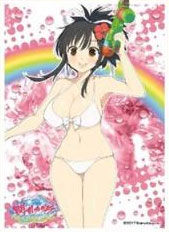 キャラクタースリーブ 閃乱カグラ PEACH BEACH SPLASH 飛鳥B(EN-604) パック