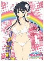 キャラクタースリーブ 閃乱カグラ PEACH BEACH SPLASH 斑鳩B(EN-605) パック