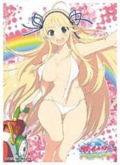 キャラクタースリーブ 閃乱カグラ PEACH BEACH SPLASH 葛城B(EN-606) パック