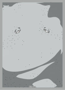 ブロッコリーキャラクタースリーブ ゲゲゲの鬼太郎「ぬりかべ」 パック