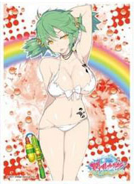 キャラクタースリーブ 閃乱カグラ PEACH BEACH SPLASH 日影(B)(EN-671) パック