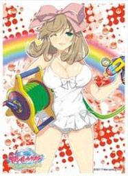 キャラクタースリーブ 閃乱カグラ PEACH BEACH SPLASH 春花(B)(EN-673) パック