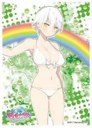 キャラクタースリーブ 閃乱カグラ PEACH BEACH SPLASH 雅緋(B)(EN-696) パック