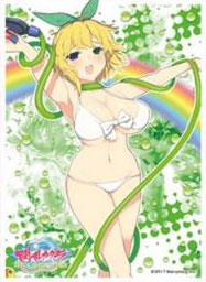 キャラクタースリーブ 閃乱カグラ PEACH BEACH SPLASH 両奈(B)(EN-700) パック
