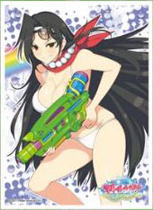 キャラクタースリーブ 閃乱カグラ PEACH BEACH SPLASH ジャスミン(B)(EN-762) パック