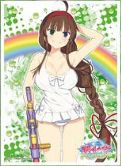キャラクタースリーブ 閃乱カグラ PEACH BEACH SPLASH 両備(C)(EN-764) パック
