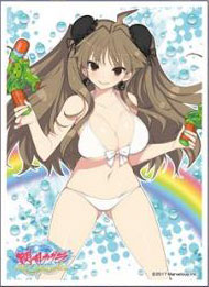 キャラクタースリーブ 閃乱カグラ PEACH BEACH SPLASH 蓮華(B)(EN-831) パック