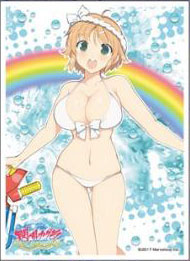 キャラクタースリーブ 閃乱カグラ PEACH BEACH SPLASH 華毘(B)(EN-834) パック