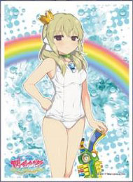 キャラクタースリーブ 閃乱カグラ PEACH BEACH SPLASH 華風流(B)(EN-835) パック