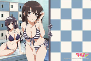 ブシロード ラバーマットコレクション Vol.571 冴えない彼女の育てかた♭『恵＆詩羽』