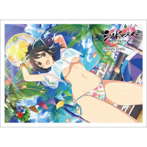 シノビマスター 閃乱カグラ NEW LINK スリーブ(飛鳥) パック