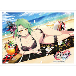 シノビマスター 閃乱カグラ NEW LINK スリーブ(日影) パック