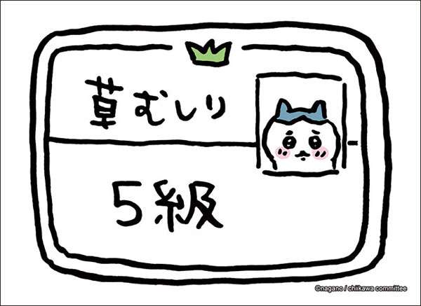 ブシロード スリーブコレクション ハイグレード Vol.3709 ちいかわ『草むしり検定5級』 パック