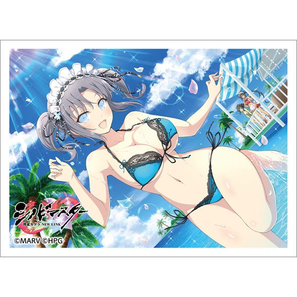 シノビマスター 閃乱カグラ NEW LINK スリーブ(雪泉/81の日爆乳祭) パック