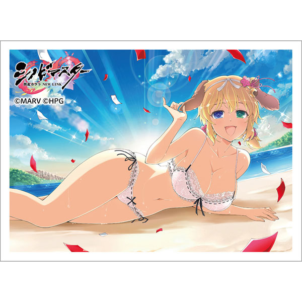 シノビマスター 閃乱カグラ NEW LINK スリーブ(両奈/爆乳祭・参) パック
