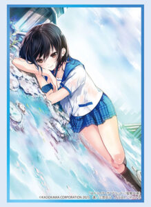 ブシロード スリーブコレクション ハイグレード Vol.4043 電撃文庫 ストライク・ザ・ブラッド『姫柊雪菜』Part.2 パック
