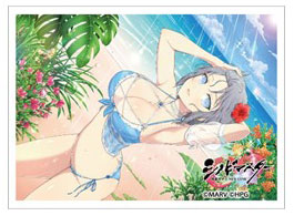 シノビマスター 閃乱カグラ NEW LINK スリーブ(雪泉/SV10周年盛・伝説爆乳祭) パック