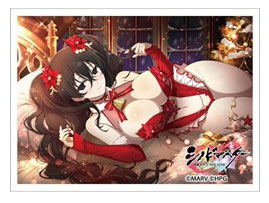 シノビマスター 閃乱カグラ NEW LINK スリーブ(雪不帰/盛・伝説爆乳祭) パック