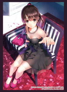スリーブコレクション ハイグレード Vol.4713 富士見ファンタジア文庫 冴えない彼女の育てかた『加藤恵』Part.2 パック