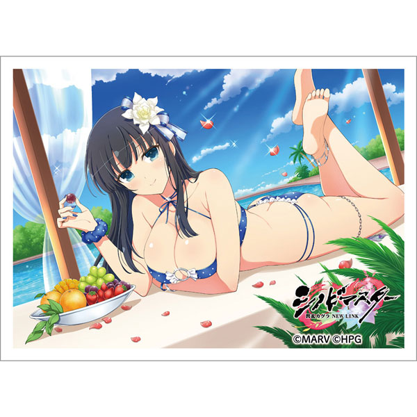 [シノビマスター 閃乱カグラ NEW LINK]スリーブ(斑鳩/人気投票爆乳祭) パック