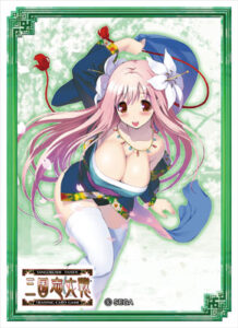 三国志大戦 トレーディングカードゲーム オフィシャルスリーブ Vol.2 甘皇后 パック