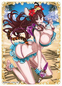 キャラクタースリーブ クリエイターズコレクション RAITA(B)(EN-239) パック