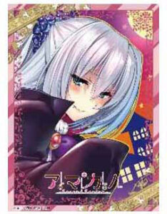 NEXTONガールズスリーブコレクション Vol.074 アマカノ2s「硯川・e・涙香」 パック