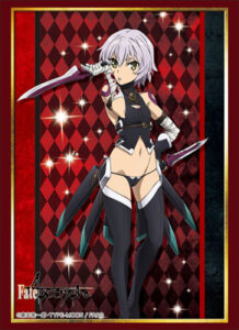 ブシロードスリーブコレクション ハイグレード Vol.1511 Fate/Apocrypha 『黒のアサシン』 パック