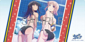 ラバープレイマットコレクション はるかなレシーブ 成美＆彩紗
