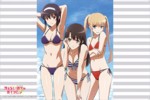 ブシロード ラバーマットコレクション Vol.446 冴えない彼女の育てかた♭『恵・英梨々・詩羽』水着ver.