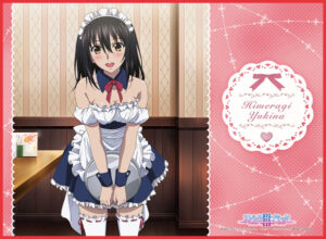 TCG万能プレイマット ストライク・ザ・ブラッドIII「姫柊雪菜」メイドVer.