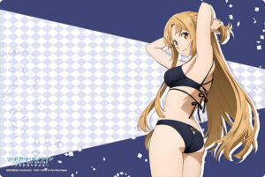 ブシロード ラバーマットコレクション Vol.743 ソードアート・オンライン アリシゼーション『結城明日奈』水着(黒)ver.