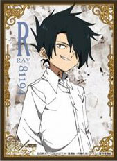 キャラクタースリーブ 約束のネバーランド レイ(EN-998) パック