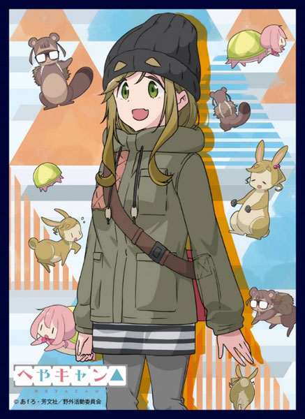 クロックワークス スリーブコレクションVol.54 へやキャン△ 犬山あおい パック