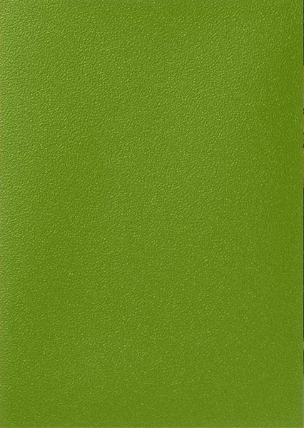 AT-11140 DS60マット ジャパニーズサイズ Olive パック