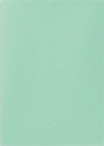 AT-15149 ジャパニーズサイズ Dual Matte Eucalyptus パック