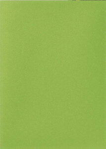 AT-11038 DS100マット スタンダードサイズ Lime パック